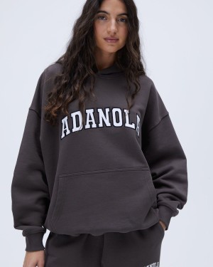 Adanola Varsity Oversized Hoodie Cafe | 290761-AQZ